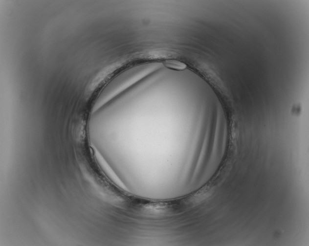 X0000111050164200907091642