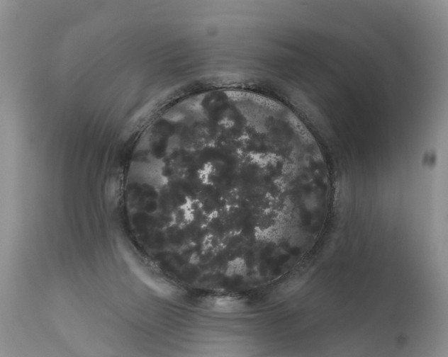 X0000111050165200907091642