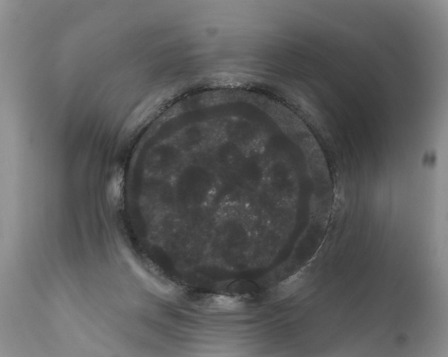 X0000111050166200907091642