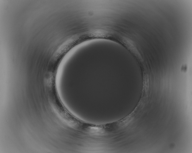 X0000111050167200907091642