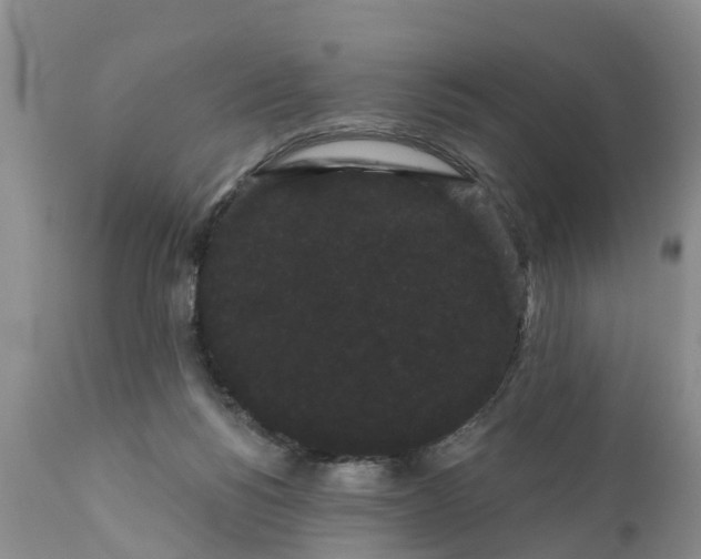 X0000111050168200907091642