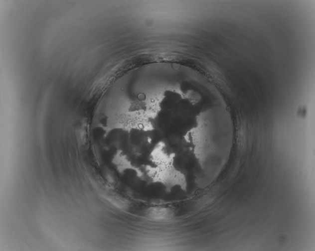 X0000111050169200907091642