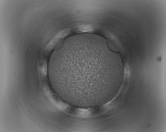 X0000111050170200907091642