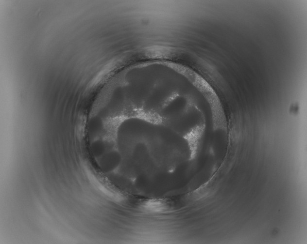 X0000111050171200907091642