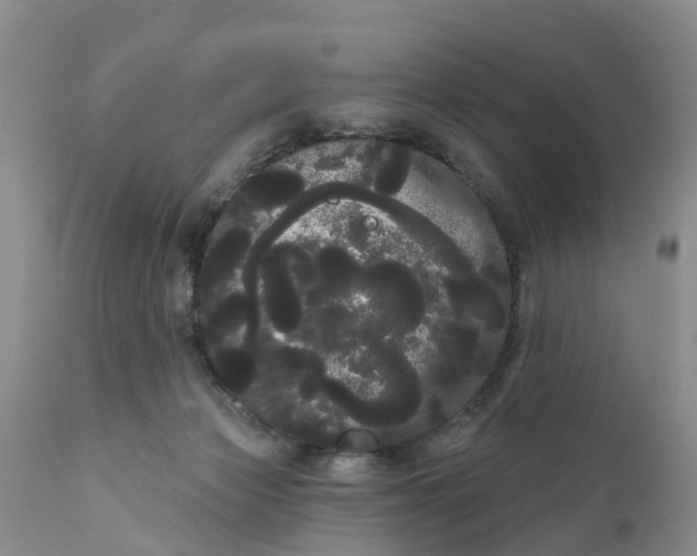 X0000111050173200907091642