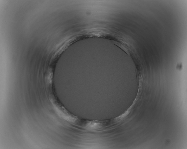 X0000111050174200907091642