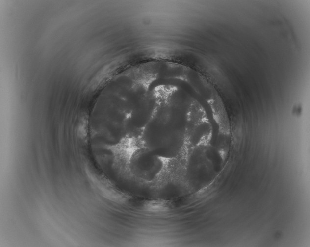 X0000111050175200907091642