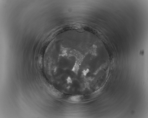 X0000111050178200907091642