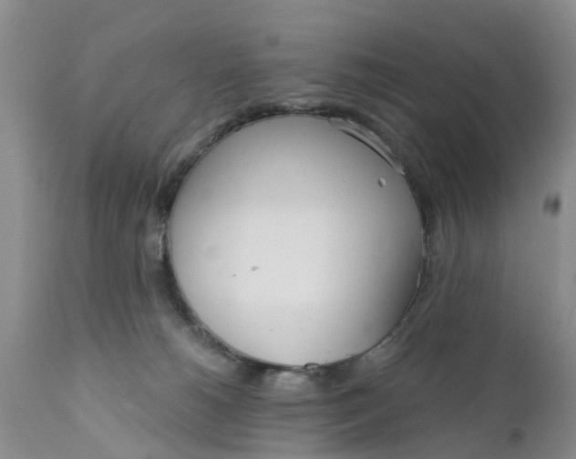 X0000111050180200907091642