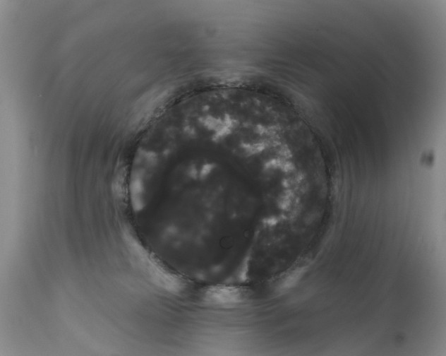 X0000111050181200907091642