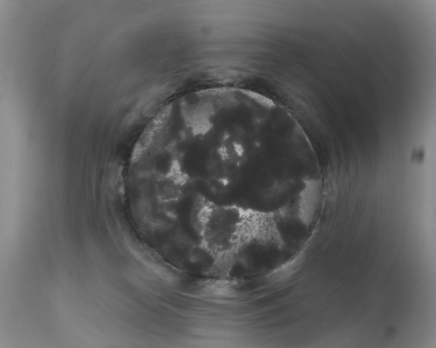 X0000111050182200907091642