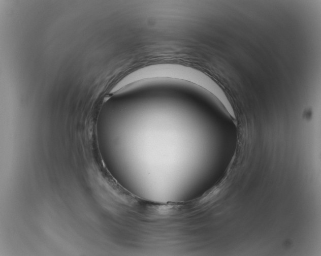 X0000111050184200907091642