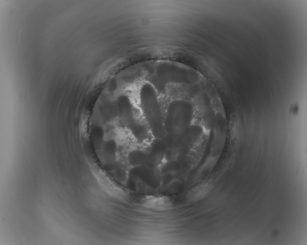 X0000111050185200907091642