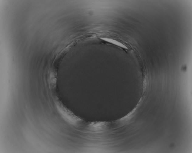 X0000111050186200907091642