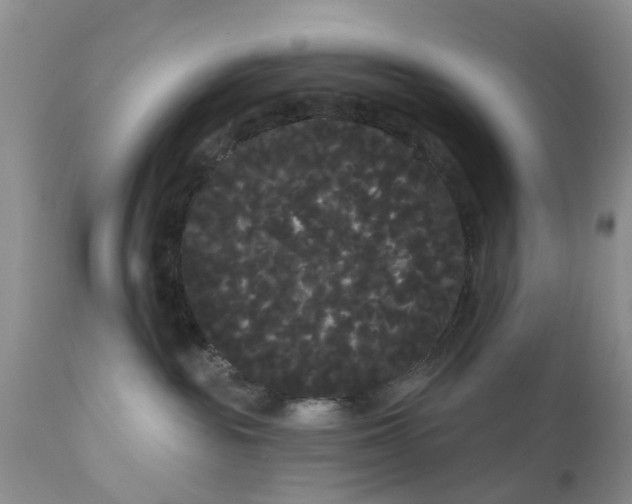 X0000111050189200907091642