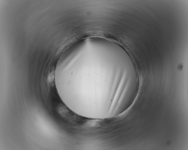 X0000111050190200907091642