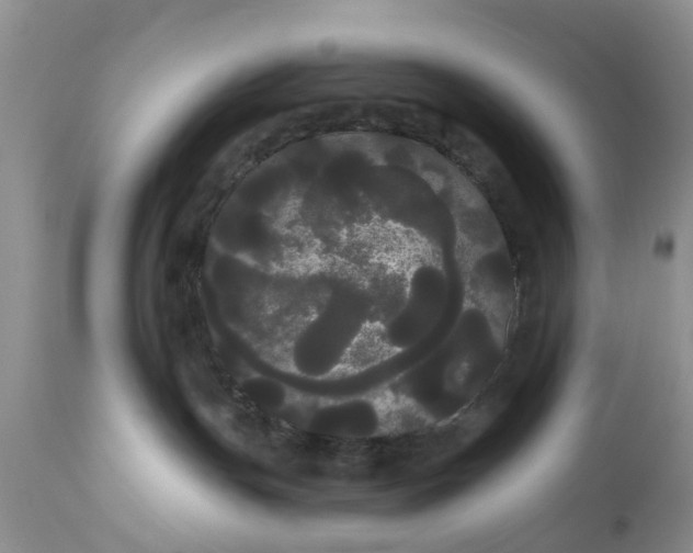 X0000111050191200907091642