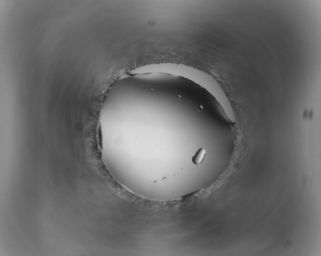 X0000111050192200907091642