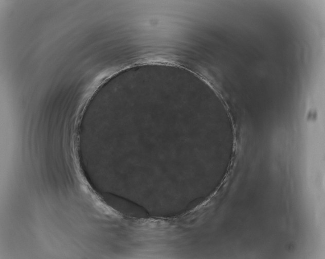 X0000111050193200907091642