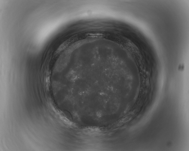 X0000111050194200907091642