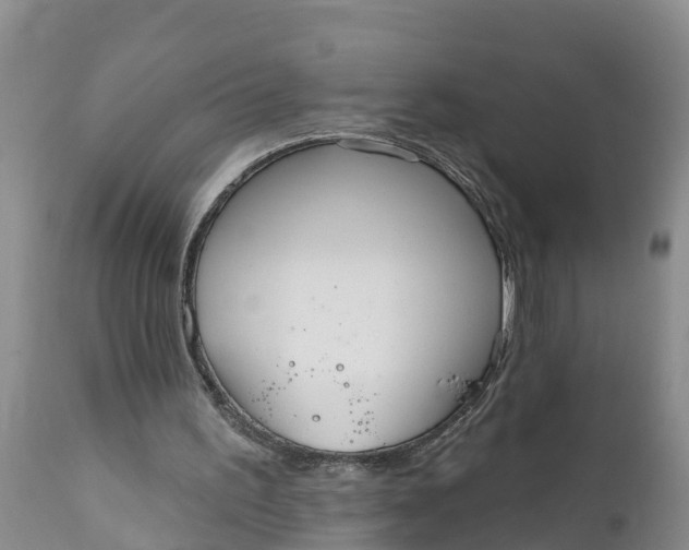 X0000111050195200907091642