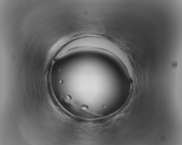 X0000111050197200907091642