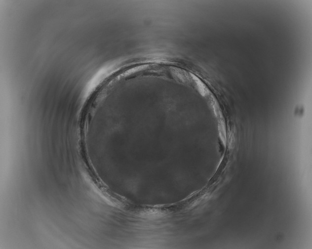 X0000111050198200907091642