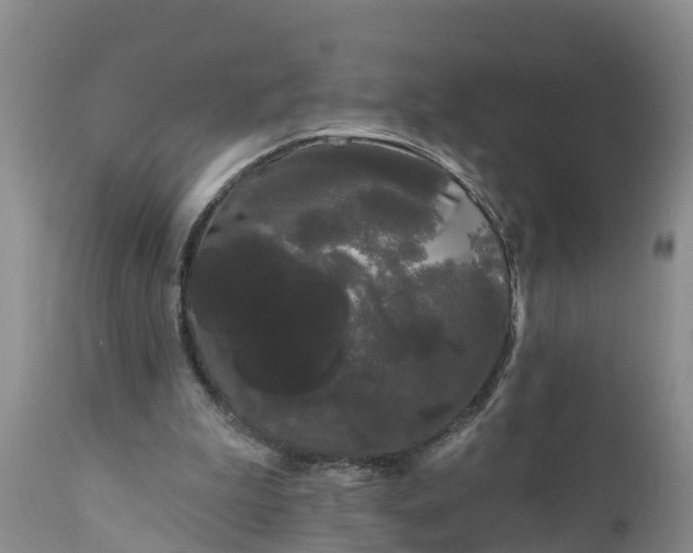 X0000111050199200907091642