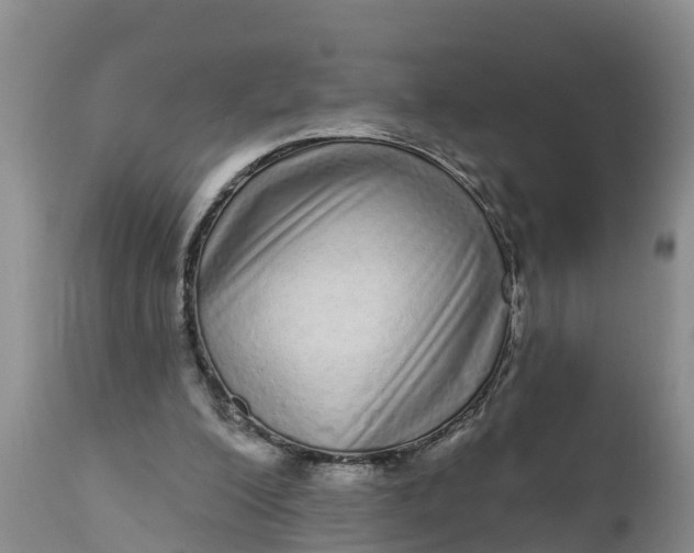 X0000111050200200907091642