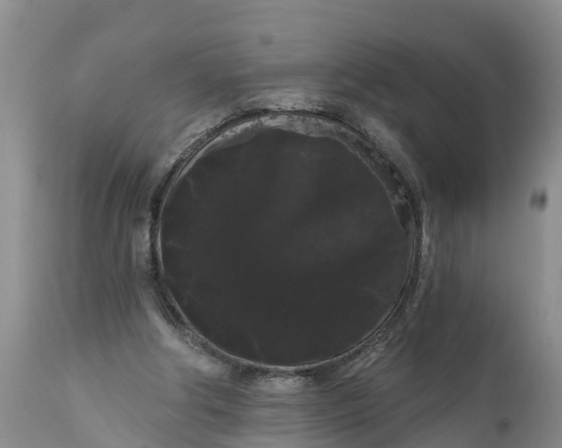 X0000111050202200907091642