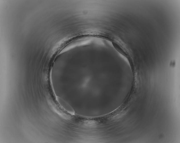 X0000111050203200907091642