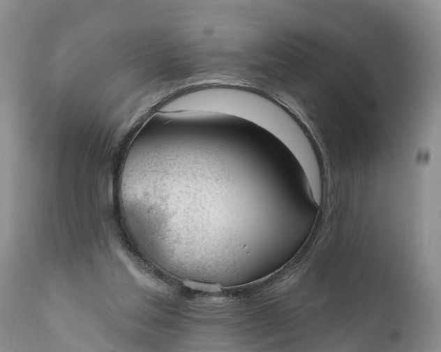 X0000111050205200907091642