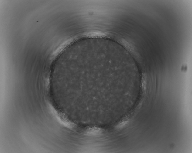 X0000111050206200907091641