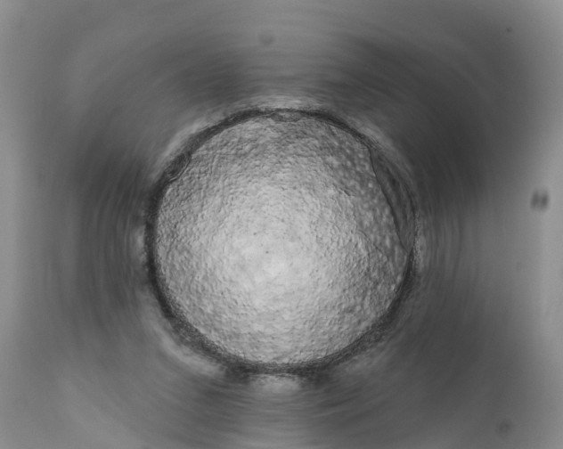 X0000111050207200907091641