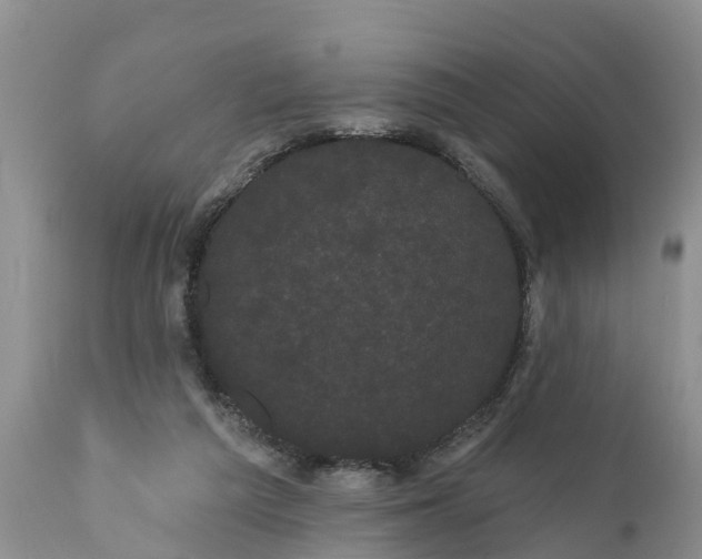 X0000111050209200907091641