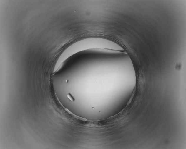 X0000111050211200907091641