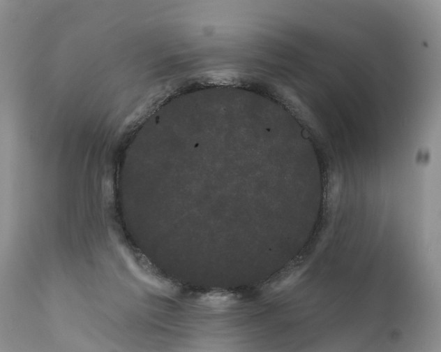 X0000111050213200907091641