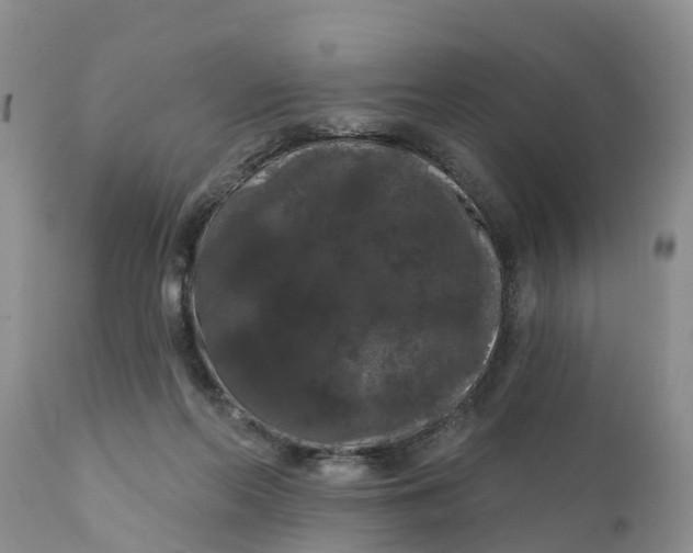 X0000111050214200907091641