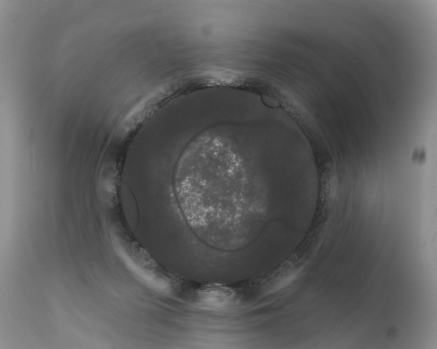 X0000111050215200907091641