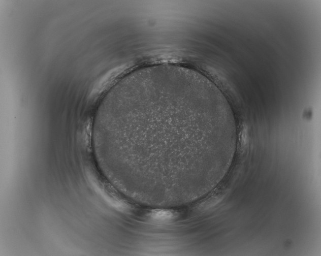 X0000111050218200907091641