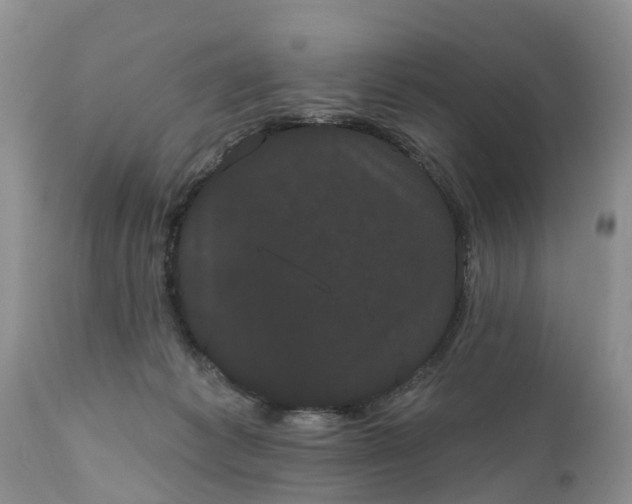 X0000111050221200907091641