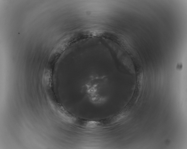 X0000111050222200907091641