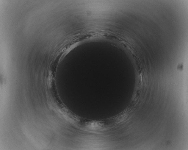 X0000111050223200907091641