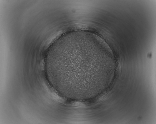 X0000111050224200907091641