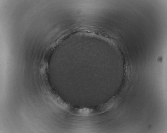 X0000111050225200907091641