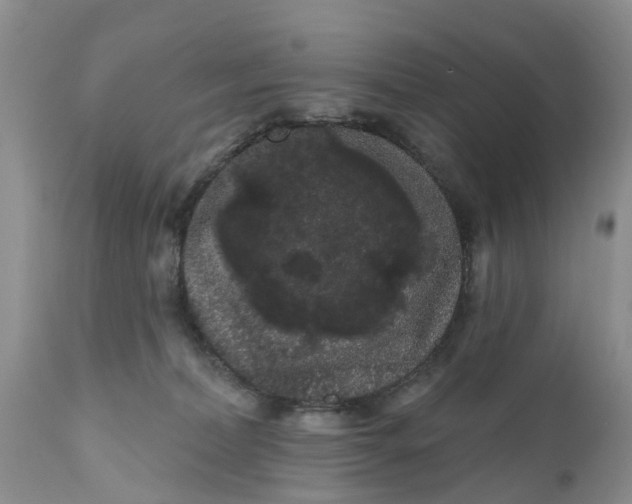 X0000111050228200907091641