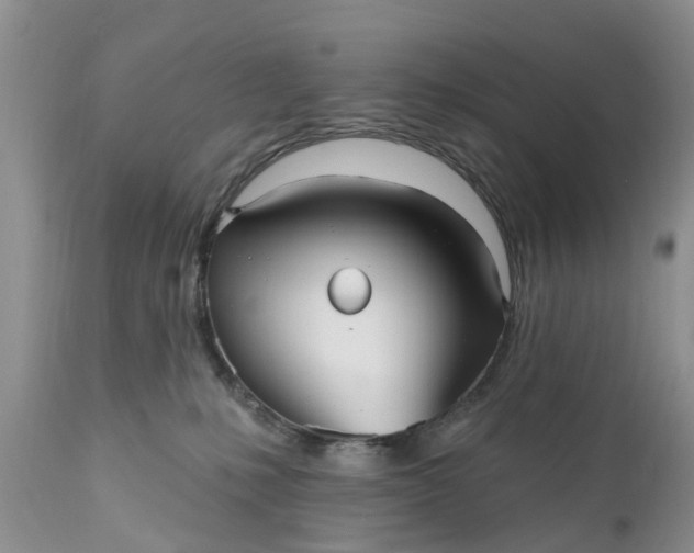 X0000111050231200907091641