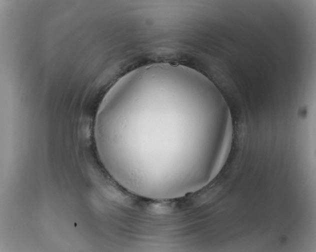 X0000111050232200907091641