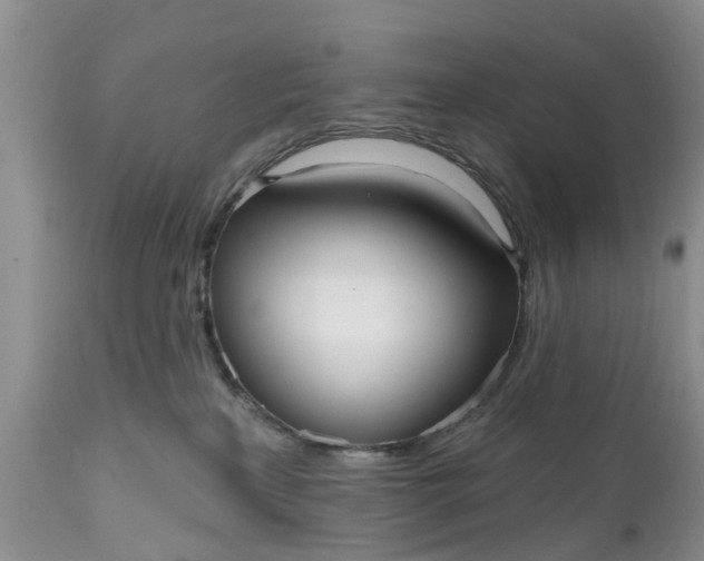 X0000111050233200907091641