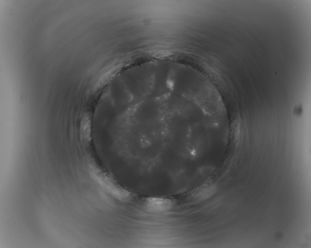 X0000111050234200907091641